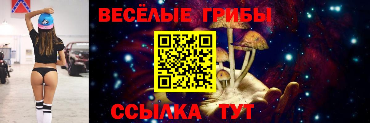 цены   Вход с VPN  Кызыл  Псилоцибиновые грибы мухоморы 